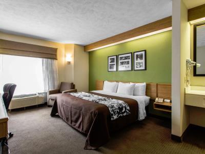 Surestay By Western Flowertown Hotel Summerville